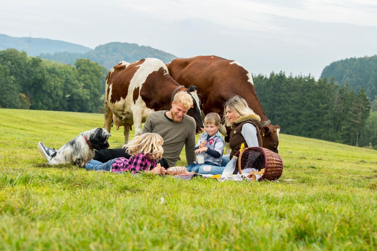 Westfalenhof Garni Willingen  Exterior foto