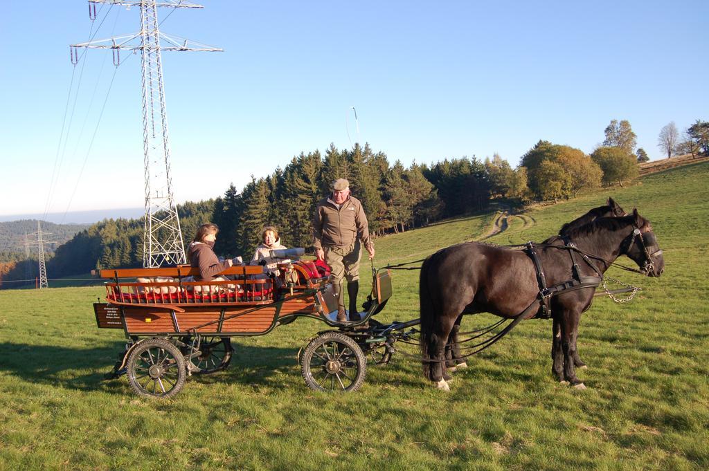 Westfalenhof Garni Willingen  Exterior foto
