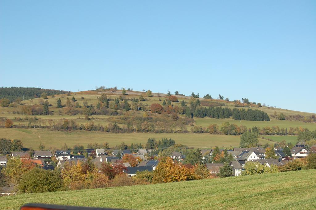 Westfalenhof Garni Willingen  Exterior foto